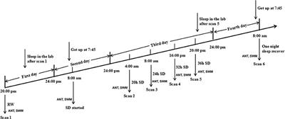 Plasticity and Susceptibility of Brain Morphometry Alterations to Insufficient Sleep